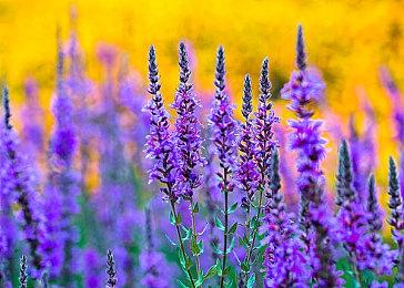 动作冒险游戏《兵马俑》确定10月20日发售